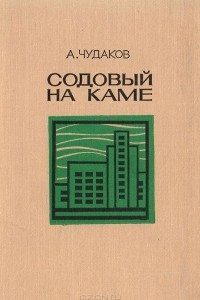 Книга Содовый на Каме