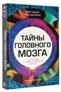 Книга Тайны головного мозга. Вся правда о самом медийном органе