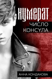 Книга Нумерат. Число Консула