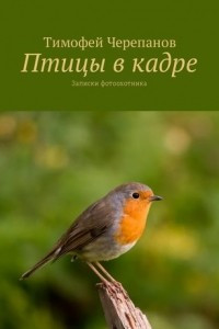 Книга Птицы в кадре