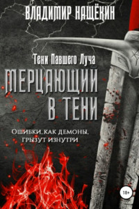 Книга Мерцающий в тени