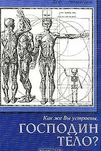 Книга Как же Вы устроены, господин Тело?