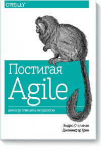 Книга Постигая Agile. Ценности, принципы, методологии