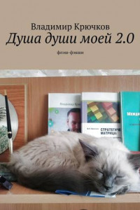 Книга Душа души моей 2.0. флэш-фэкшн