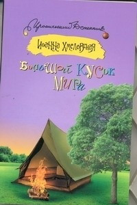 Книга Большой кусок мира