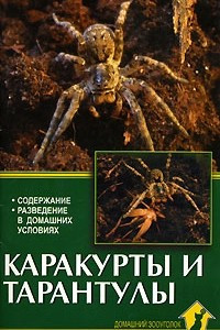 Книга Каракурты и тарантулы. Содержание. Разведение в домашних условиях