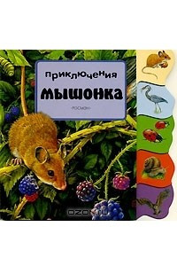 Книга Приключения мышонка