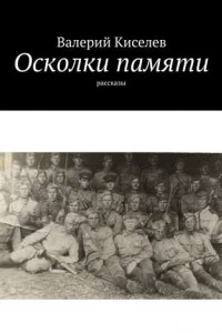 Книга Осколки памяти. Рассказы