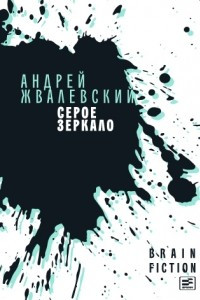 Книга Серое зеркало