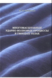 Книга Многомасштабные ударно-волновые процессы в твердых телах