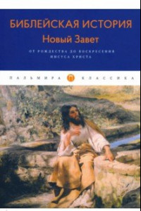 Книга Библейская История. Новый Завет. От Рождества до Воскресения Иисуса Христова