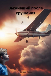 Книга Выживший после крушения