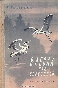 Книга В лесах над Березиной