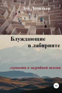 Книга Блуждающие в лабиринте