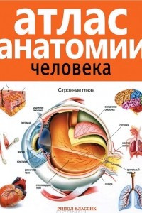 Книга Атлас анатомии человека