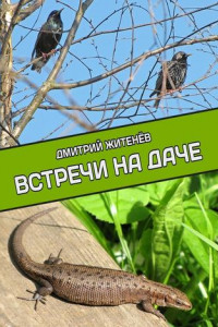 Книга Встречи на даче