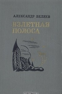 Книга Взлетная полоса