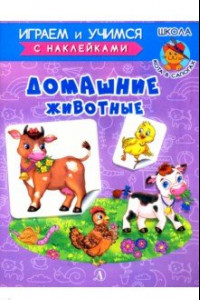 Книга Домашние животные