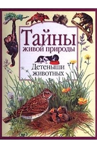 Книга Детеныши животных