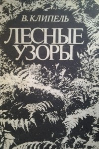 Книга Лесные узоры