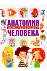 Книга Анатомия человека. Энциклопедия для детей