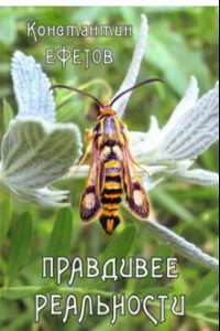 Книга Правдивее реальности