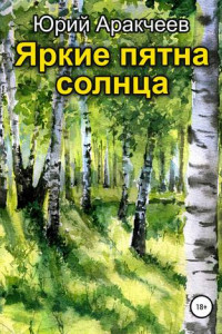 Книга Яркие пятна солнца