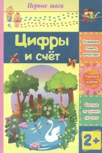 Книга Цифры и счет