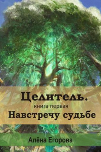 Книга Целитель. Навстречу судьбе. Книга первая