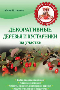 Книга Декоративные деревья и кустарники на участке