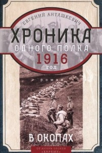 Книга В окопах. 1916 год. Хроника одного полка