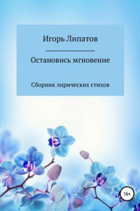 Книга Остановись мгновение