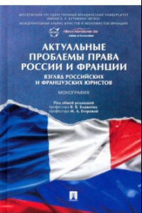 Книга Актуальные проблемы права России и Франции. Взгляд российских и французских юристов. Монография