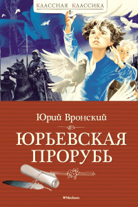 Книга Юрьевская прорубь