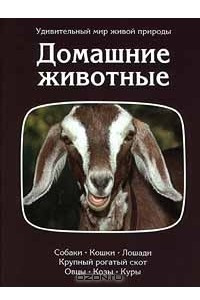 Книга Домашние животные