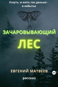 Книга Зачаровывающий лес