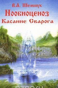 Книга Нообиоценоз. Касание Сварога