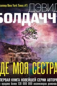 Книга Где моя сестра?