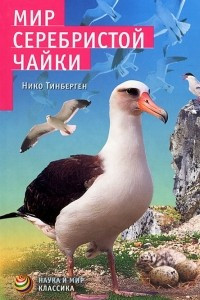 Книга Мир серебристой чайки