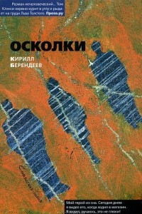 Книга Осколки