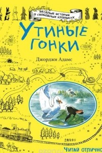 Книга Утиные гонки