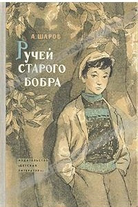 Книга Ручей старого бобра