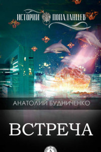 Книга Встреча