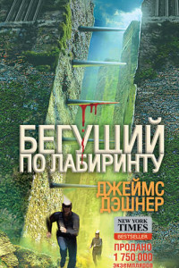 Книга Бегущий по Лабиринту