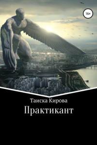 Книга Практикант